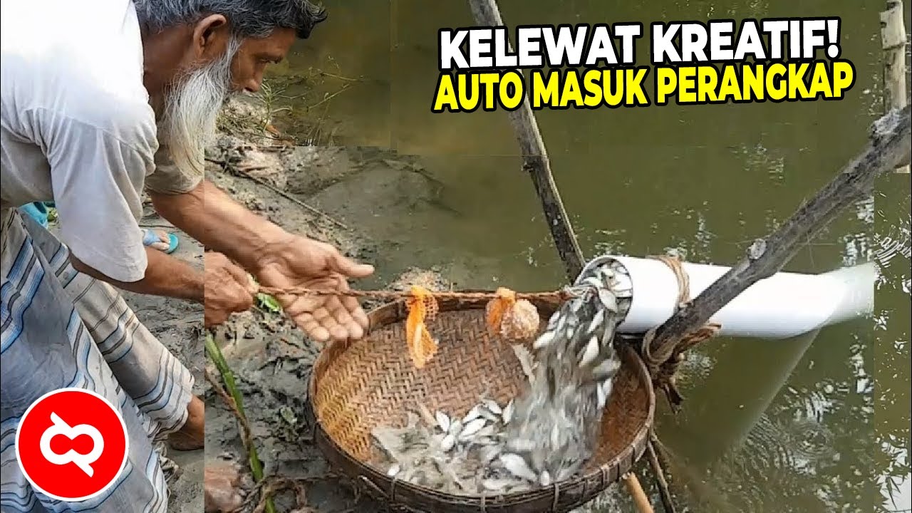 Detail Perangkap Ikan Kecil Di Sungai Nomer 5