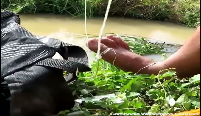 Detail Perangkap Ikan Kecil Di Sungai Nomer 57