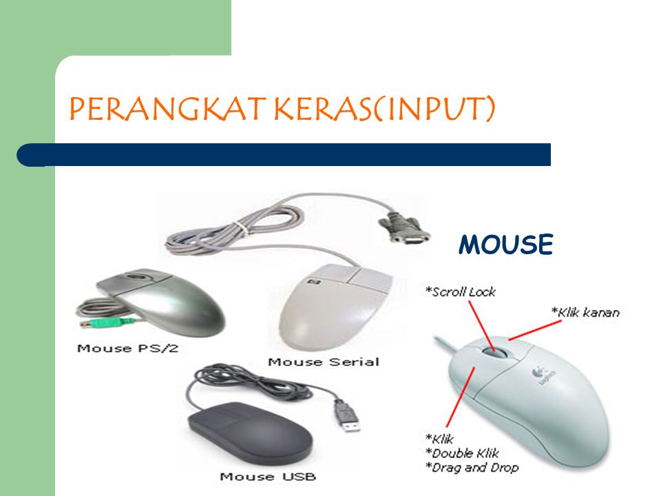 Detail Perangkat Keras Input Nomer 47