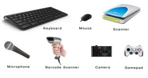 Detail Perangkat Keras Input Device Nomer 15