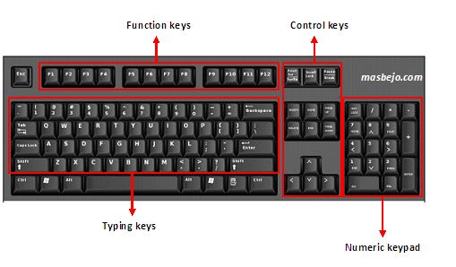 Detail Perangkat Keras Input Device Nomer 28