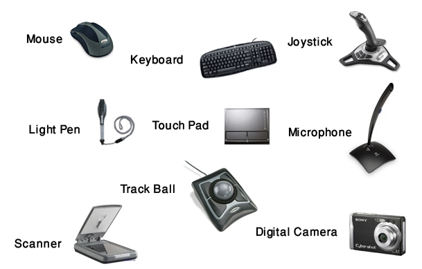 Detail Perangkat Keras Input Device Nomer 7