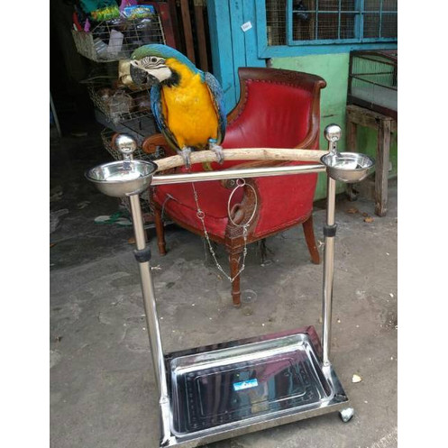 Detail Perch Burung Hantu Nomer 20