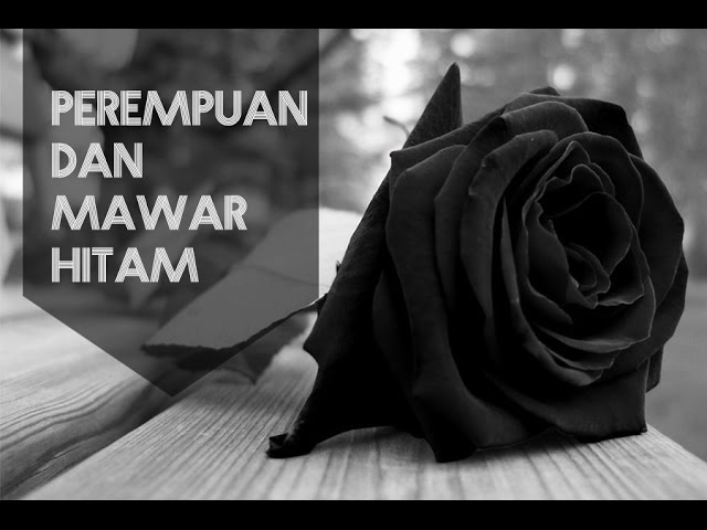 Detail Perempuan Dan Mawar Hitam Nomer 32