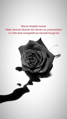 Detail Perempuan Dan Mawar Hitam Nomer 7