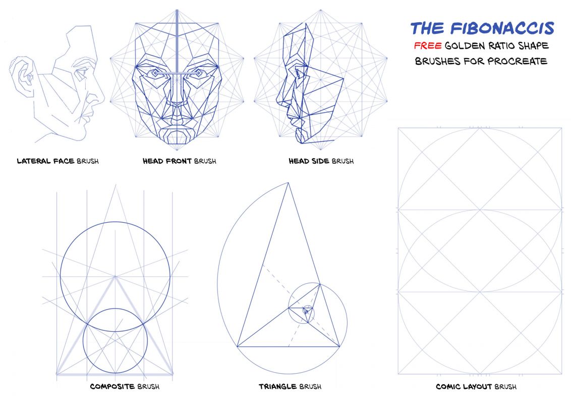 Detail Perfect Face Ratio Template Nomer 24