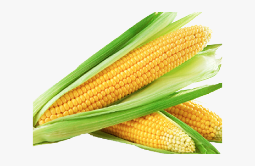 Detail Maize Png Nomer 6