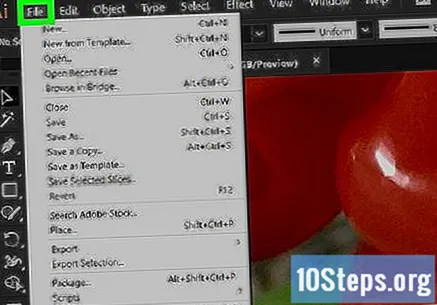 Detail Makalah Adobe Illustrator Nomer 44