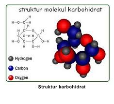 Detail Makalah Tentang Kabohidrat Dan Gambar Nomer 33