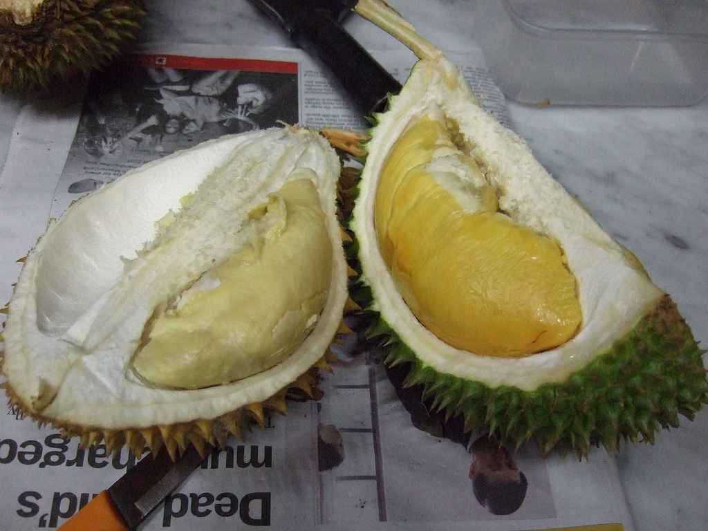 Detail Makan Durian Di Rumah Nomer 10