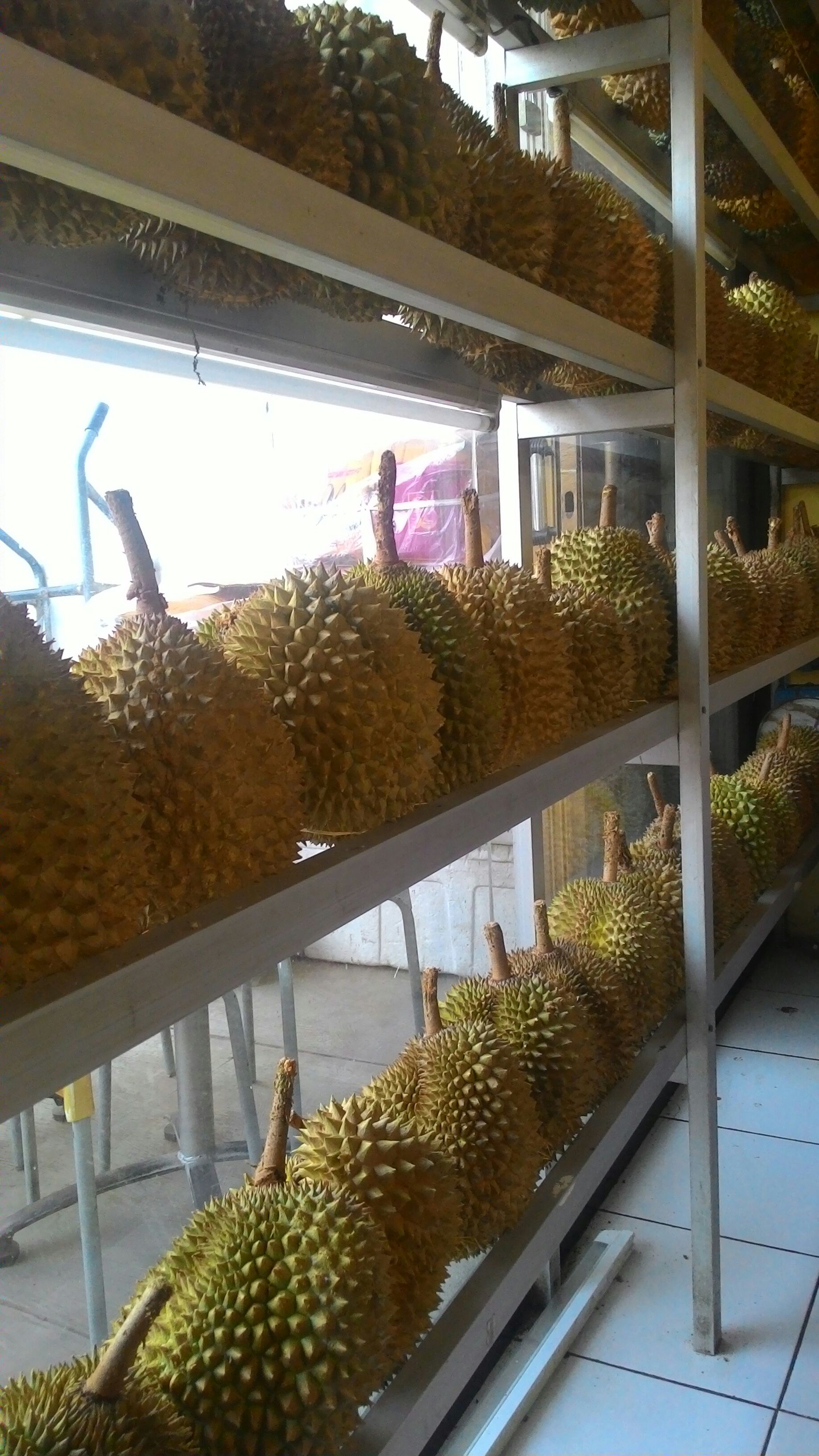 Detail Makan Durian Di Rumah Nomer 30