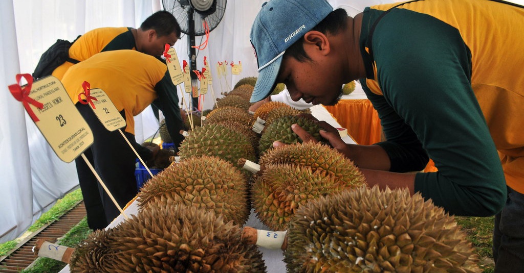 Detail Makan Durian Di Rumah Nomer 35