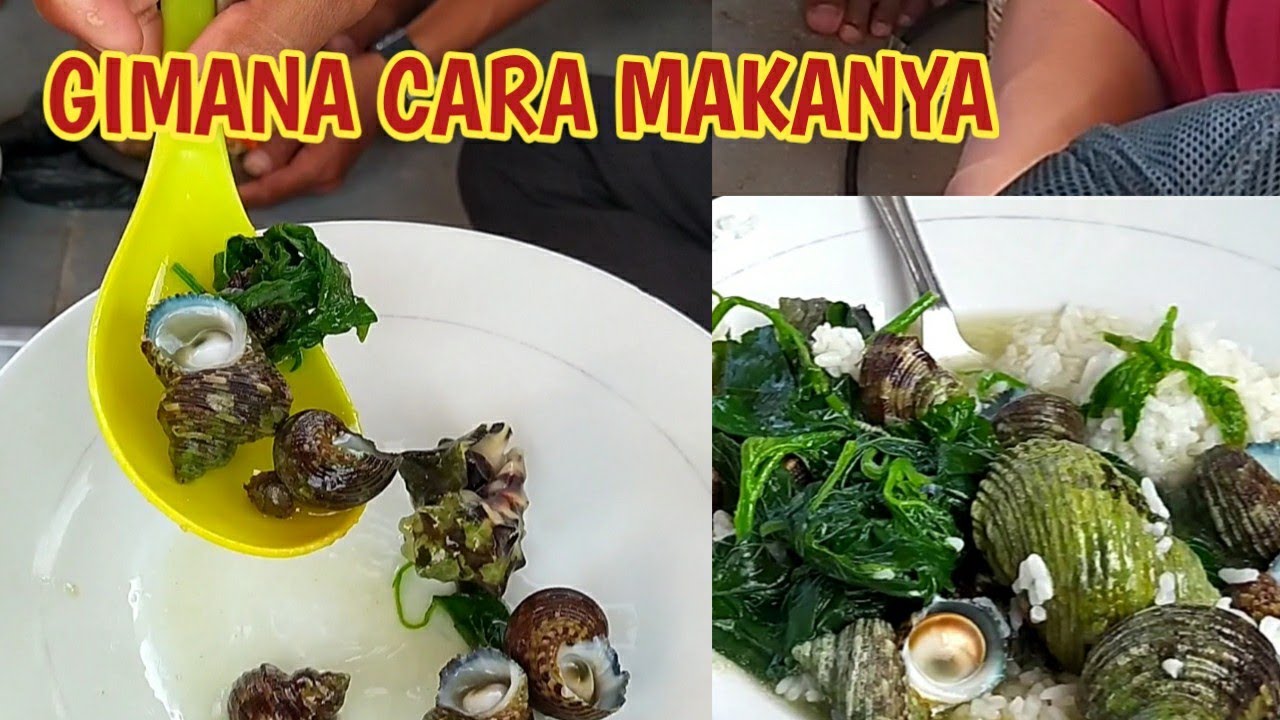 Detail Makanan Buat Keong Pantai Nomer 21