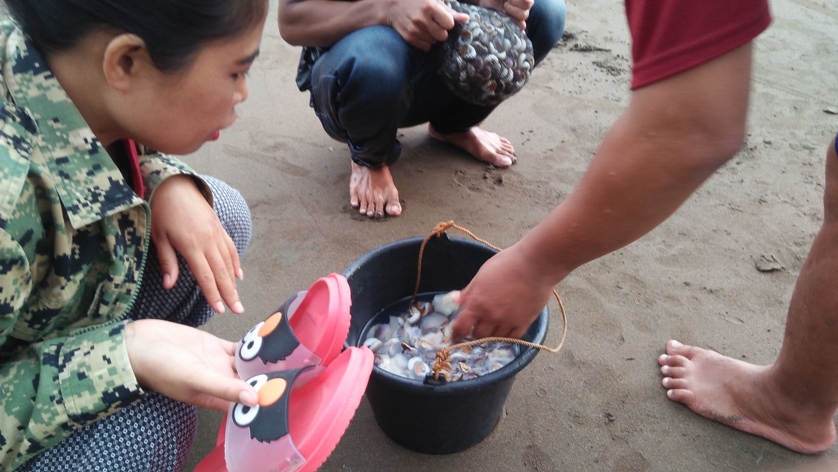 Detail Makanan Buat Keong Pantai Nomer 49