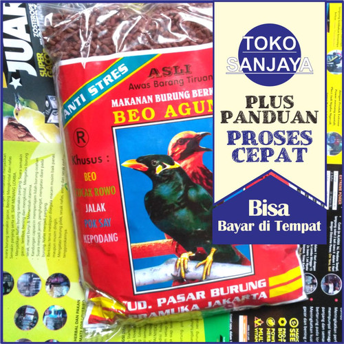 Detail Makanan Burung Beo Nomer 6