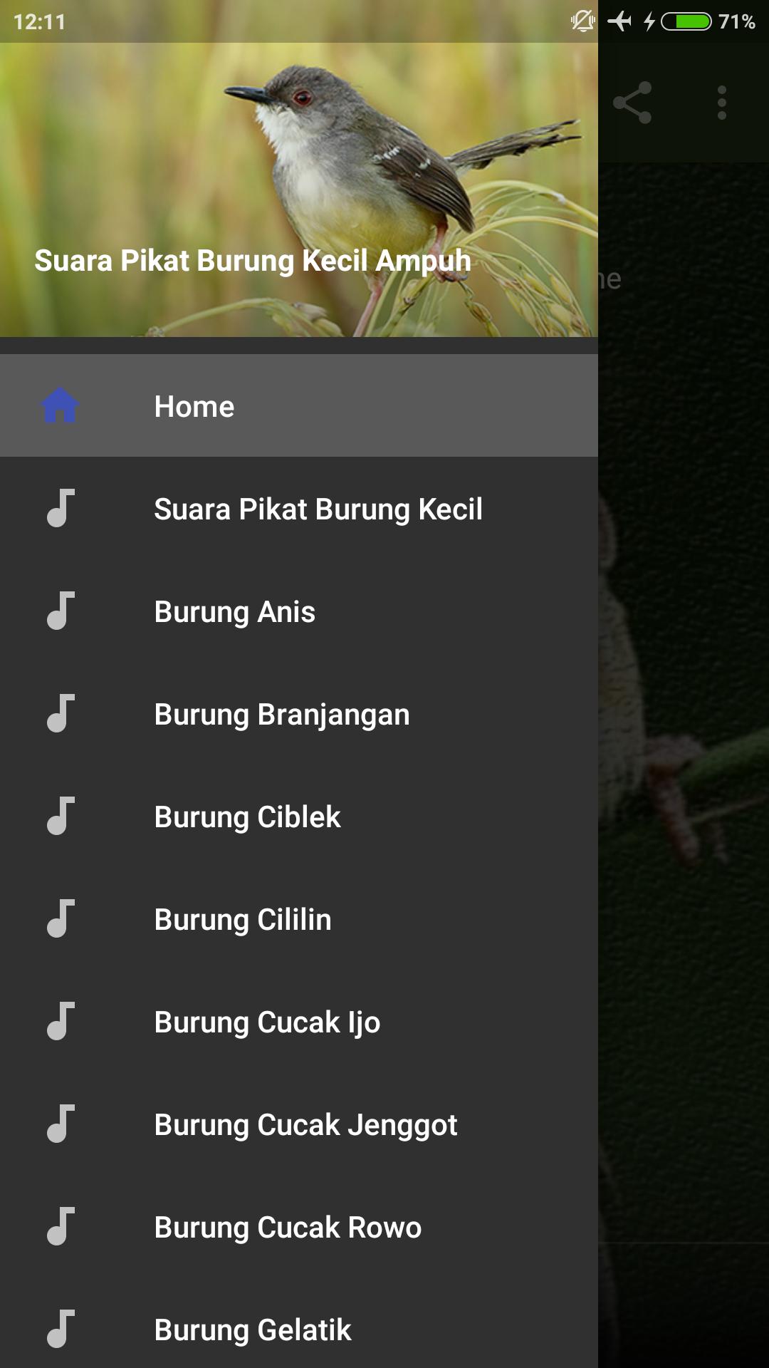 Detail Makanan Burung Kecil Nomer 24