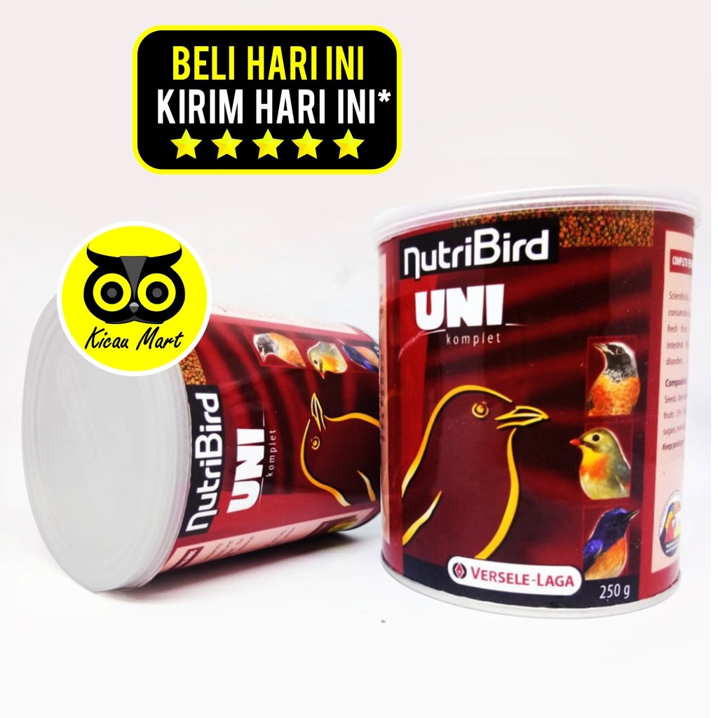 Detail Makanan Burung Robin Nomer 42