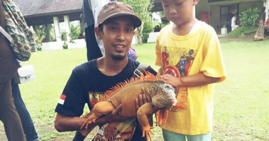 Detail Makanan Iguana Kecil Nomer 28