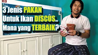 Detail Makanan Ikan Discus Terbaik Nomer 49