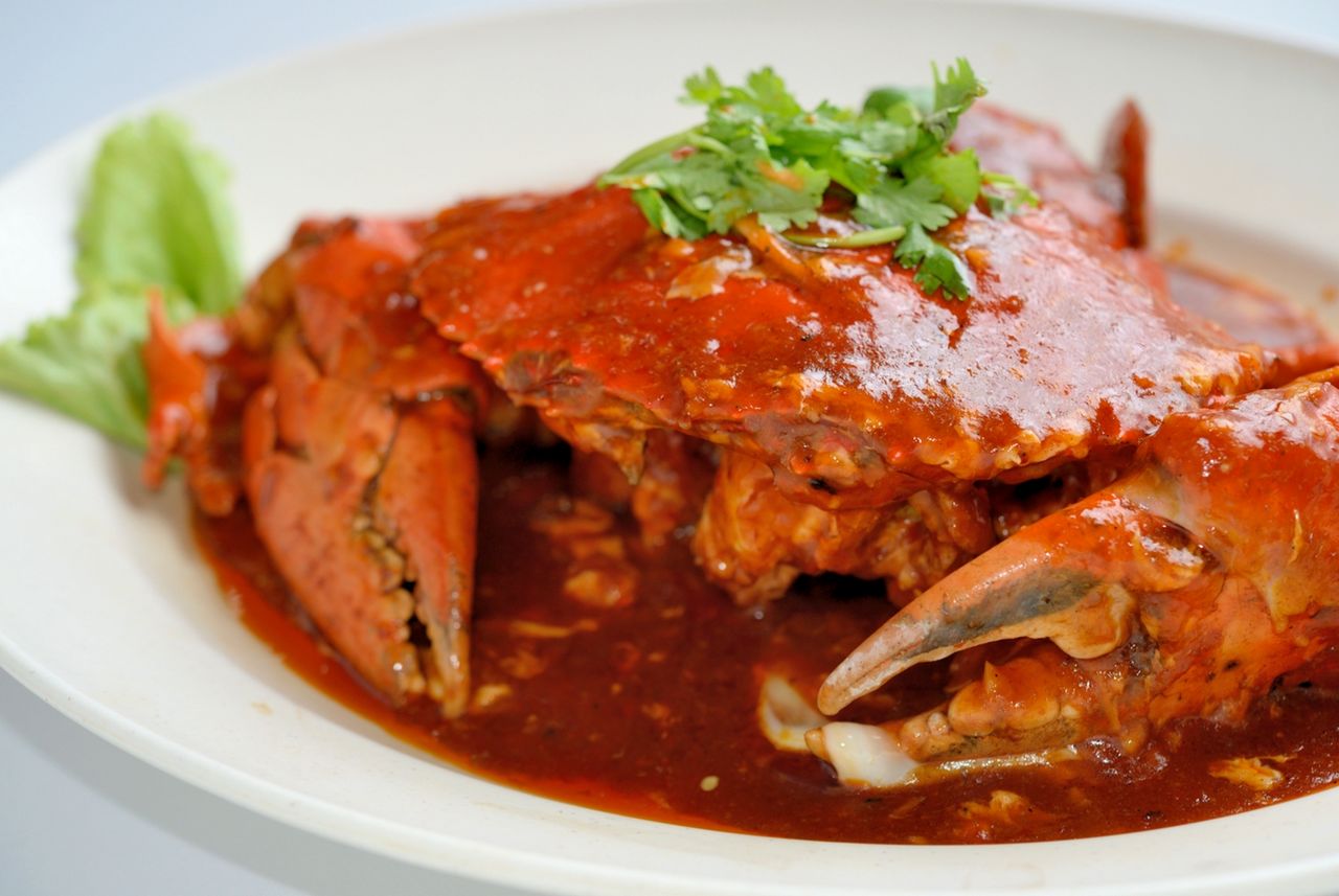Detail Makanan Kepiting Laut Nomer 11