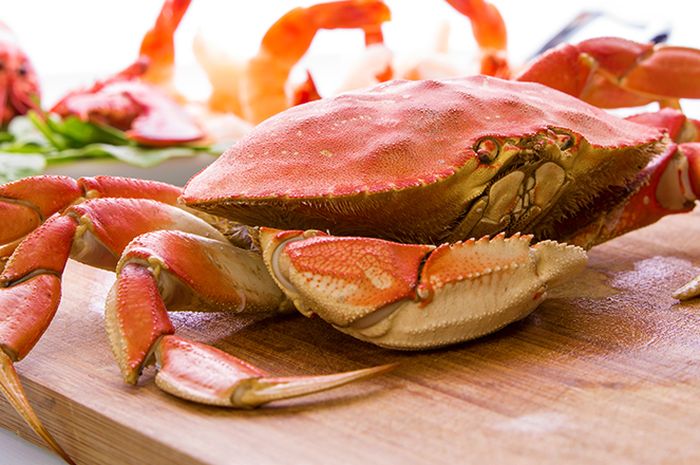 Detail Makanan Kepiting Laut Nomer 14