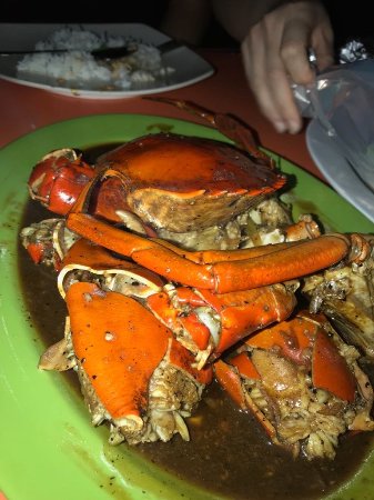 Detail Makanan Kepiting Laut Nomer 16