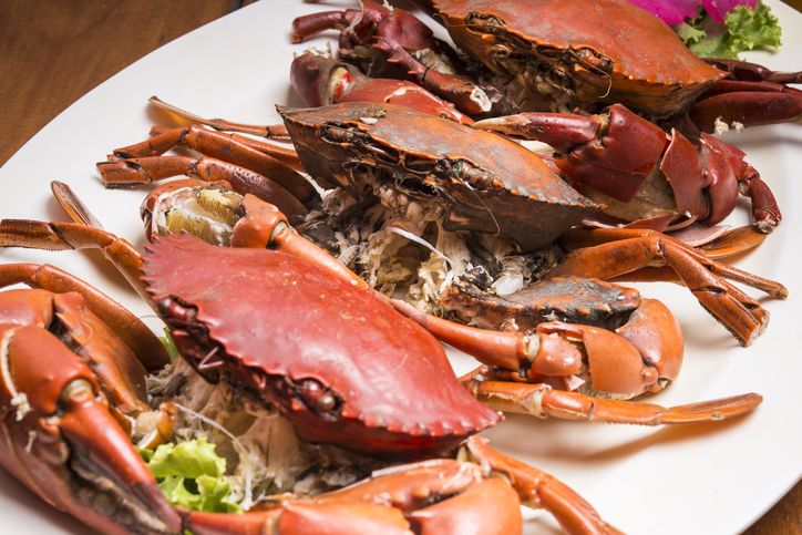 Detail Makanan Kepiting Laut Nomer 21