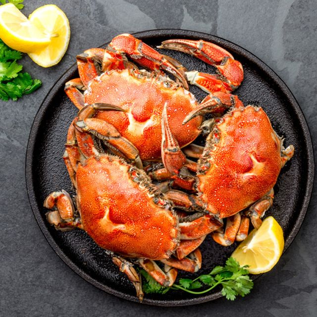 Detail Makanan Kepiting Laut Nomer 23