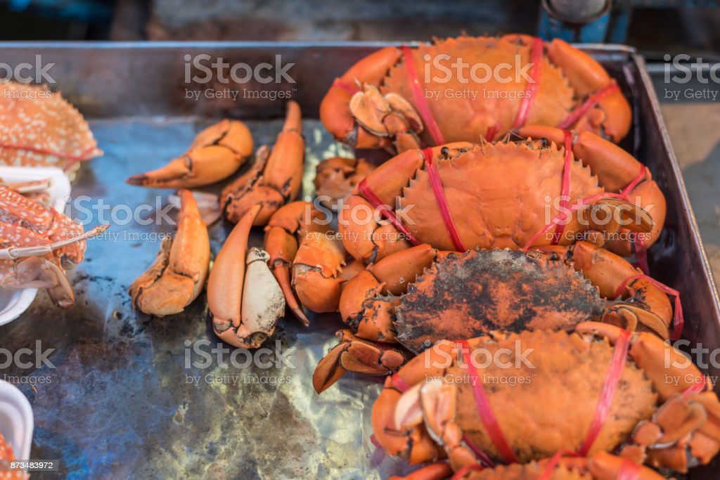 Detail Makanan Kepiting Laut Nomer 25