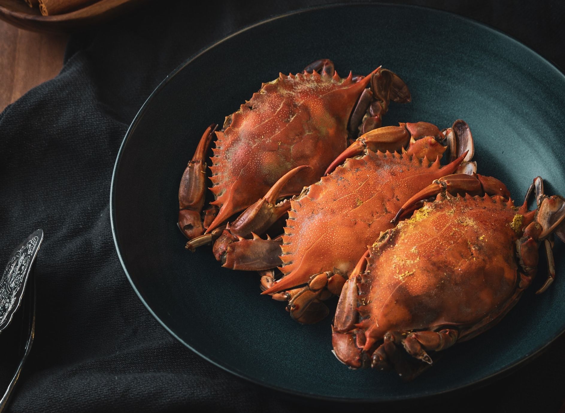 Detail Makanan Kepiting Laut Nomer 26