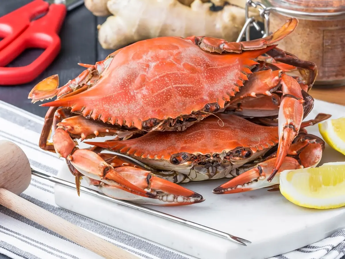 Detail Makanan Kepiting Laut Nomer 34