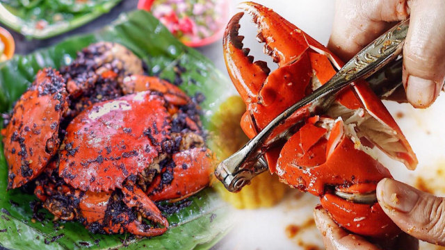 Detail Makanan Kepiting Laut Nomer 35