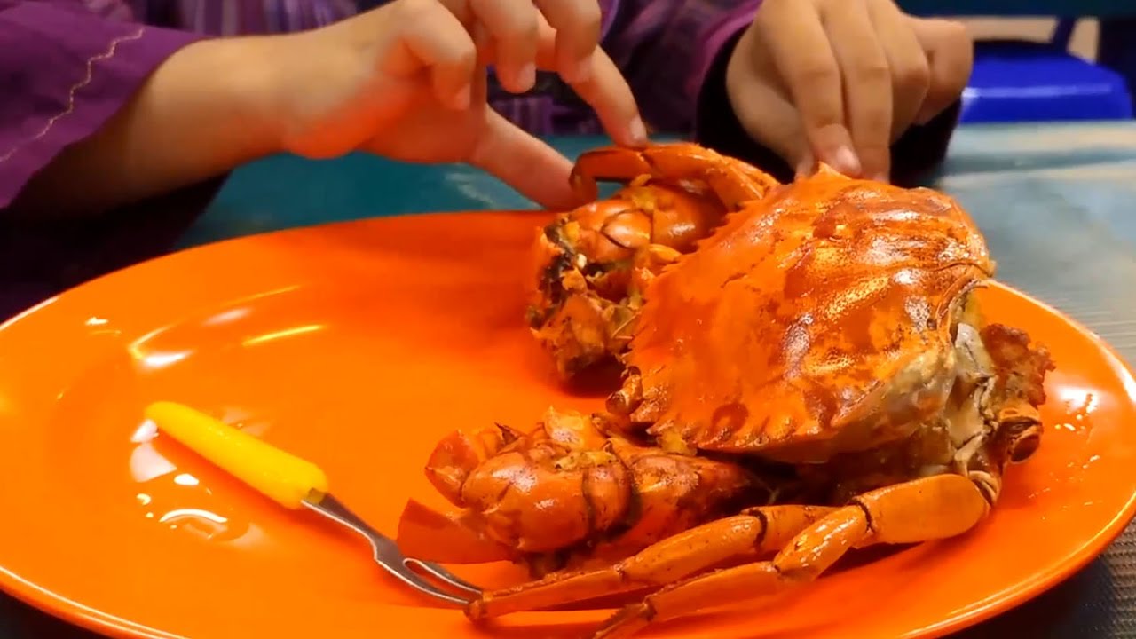 Detail Makanan Kepiting Laut Nomer 5