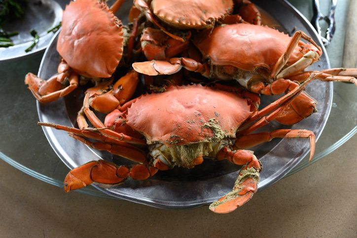 Detail Makanan Kepiting Laut Nomer 37
