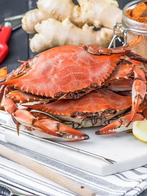 Detail Makanan Kepiting Laut Nomer 40