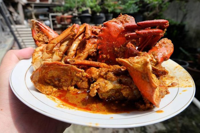 Detail Makanan Kepiting Laut Nomer 44