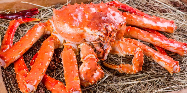 Detail Makanan Kepiting Laut Nomer 46