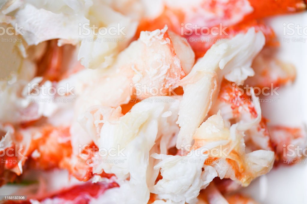 Detail Makanan Kepiting Laut Nomer 48