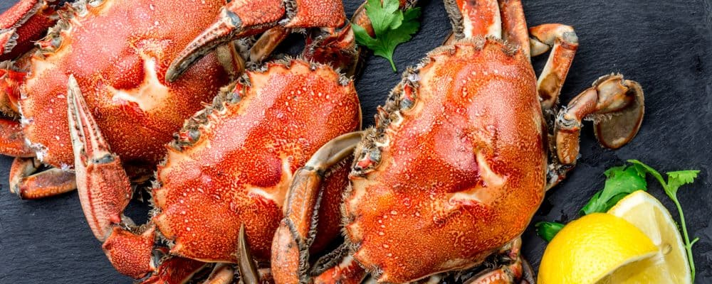 Detail Makanan Kepiting Laut Nomer 49