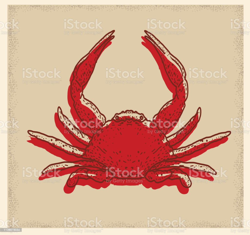 Detail Makanan Kepiting Laut Nomer 50