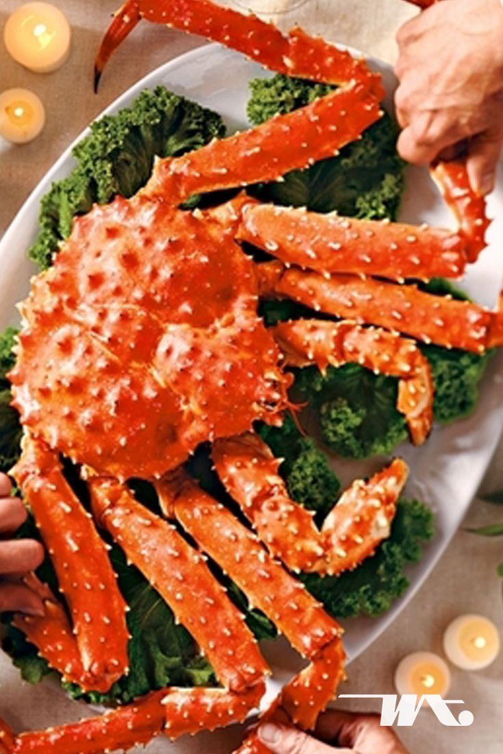 Detail Makanan Kepiting Laut Nomer 7