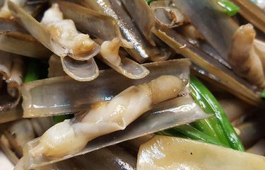 Detail Makanan Kerang Laut Nomer 25