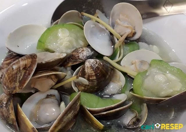 Detail Makanan Kerang Laut Nomer 44