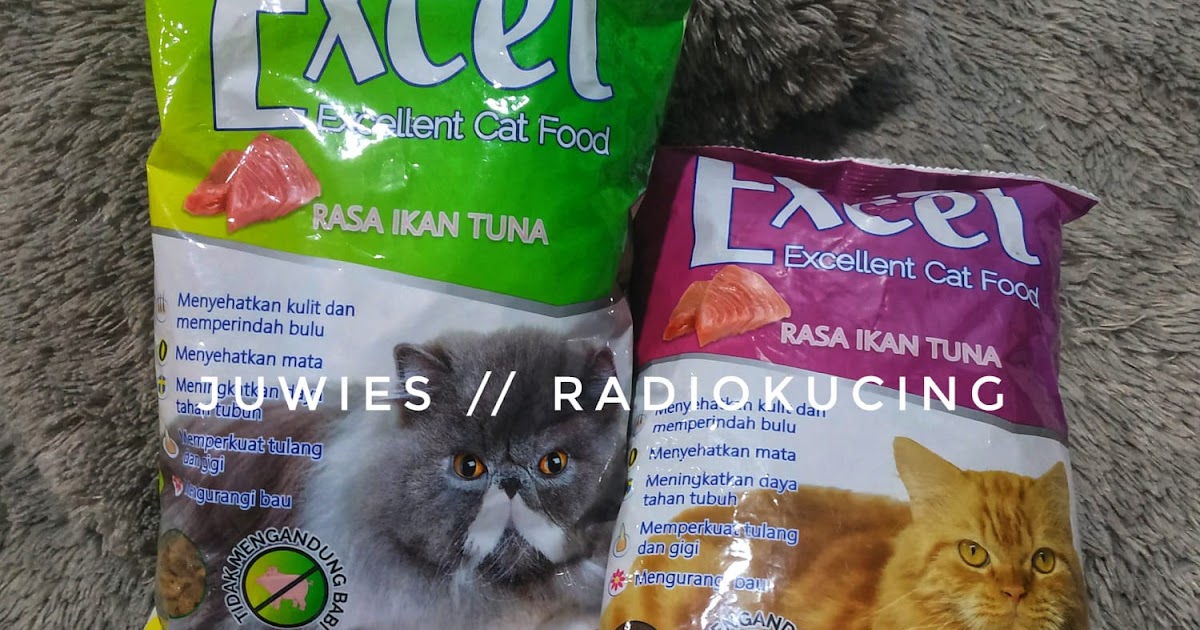 Detail Makanan Kucing Bentuk Segitiga Nomer 19