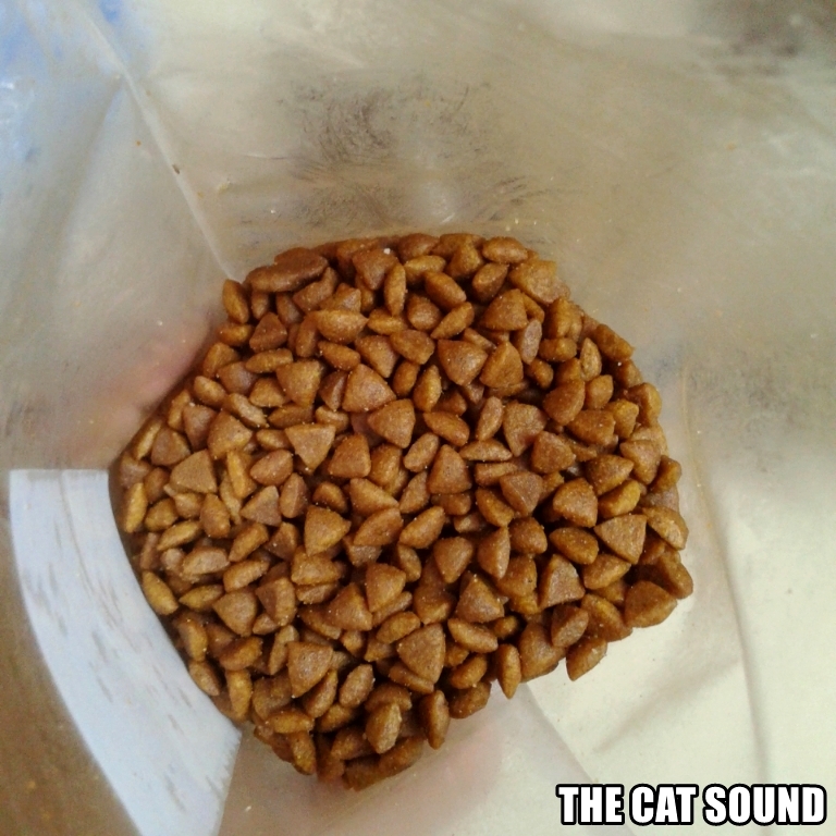 Detail Makanan Kucing Bentuk Segitiga Nomer 24