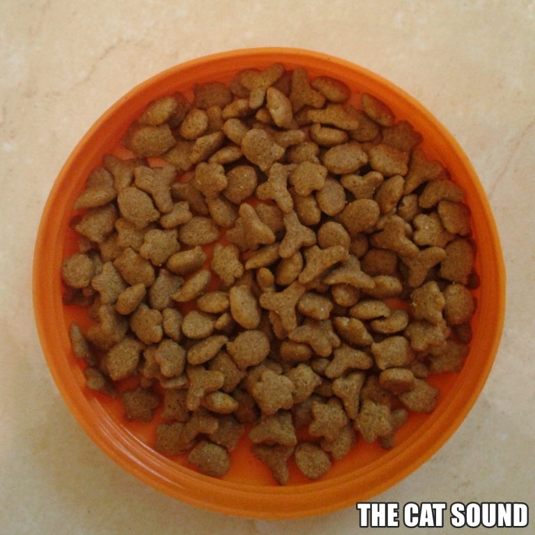 Detail Makanan Kucing Bentuk Segitiga Nomer 28