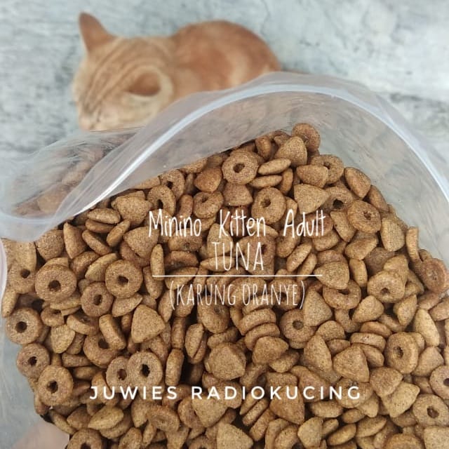 Detail Makanan Kucing Bentuk Segitiga Nomer 34