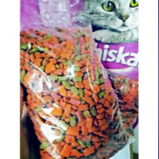Detail Makanan Kucing Bentuk Segitiga Nomer 48