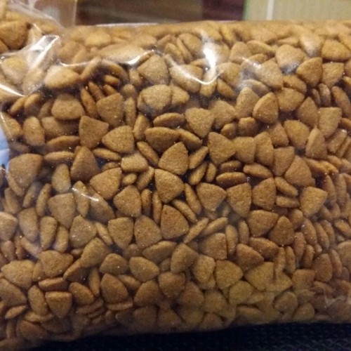 Detail Makanan Kucing Bentuk Segitiga Nomer 50