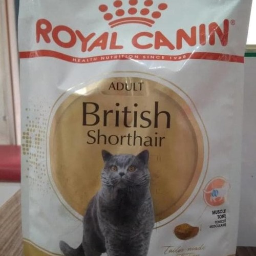 Detail Makanan Kucing British Nomer 2